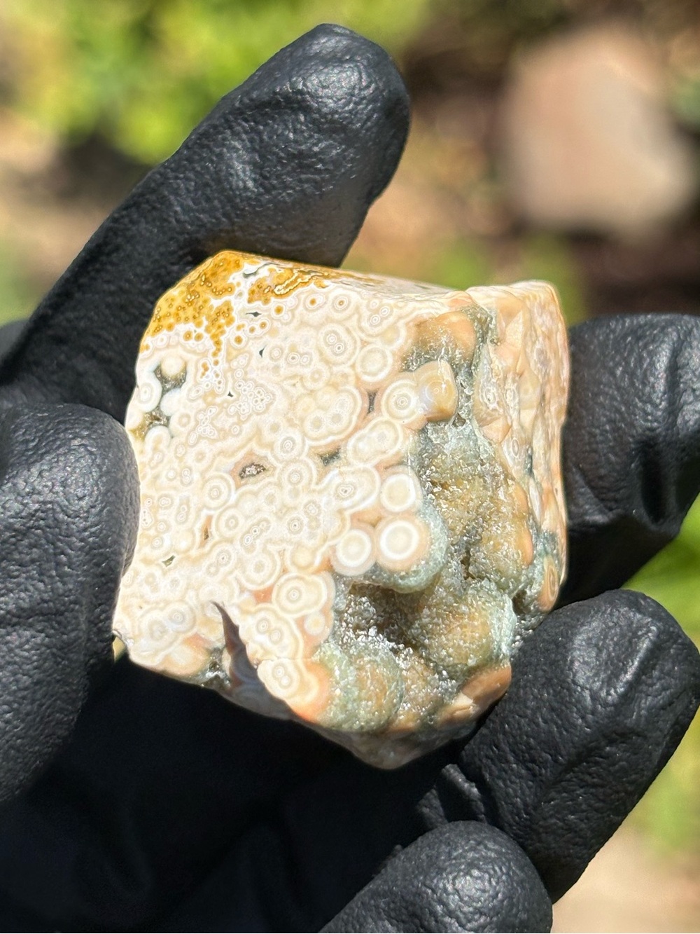 Druzy Ocean Jasper Crystal Freeform - Small Sea Jasper Specimen - Polished OBJ